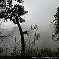 大茅埔山 053.JPG