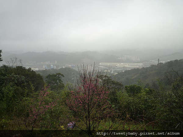 五堵萬壽山.龍鳳山 070.JPG