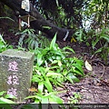 崙子山 055.JPG