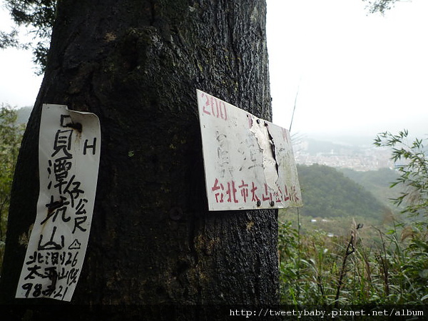 圓潭子坑山.大香山.客家滷味 088.JPG