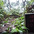 崙子山 062.JPG