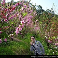 木柵杏花林.待老坑山.救千宮步道 028.JPG