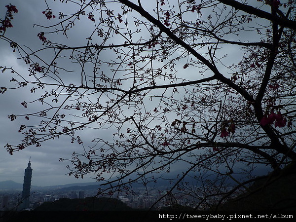 劍頭山.妙高台.五指山 066.JPG