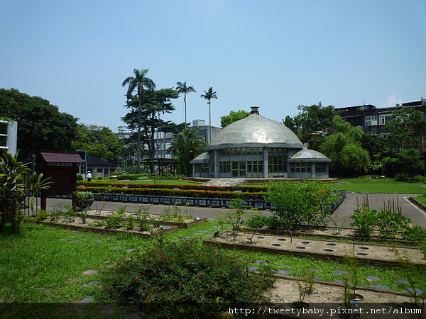 台北植物園 045.JPG