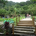 雙溪蝙蝠山 039.JPG