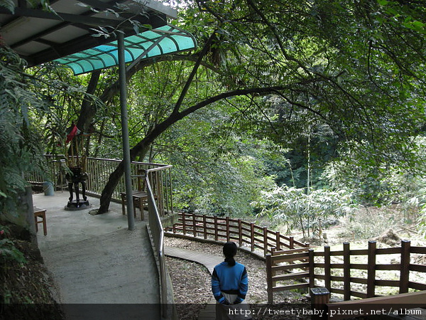 三山國王山.潤濟宮登山步道 114.JPG