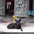 大墓公.承天禪寺.火焰山 033.JPG