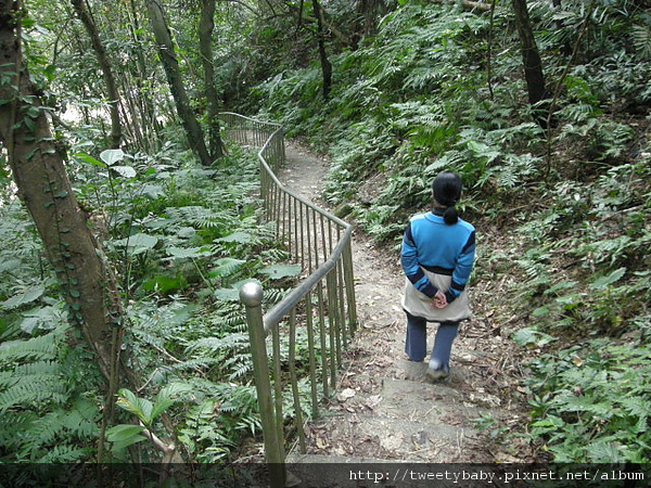 三山國王山.潤濟宮登山步道 101.JPG