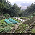 三山國王山.潤濟宮登山步道 105.JPG