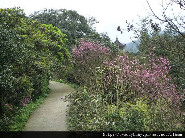 銅鑼燒.錦峰山.臥龍山.七堵臭粿仔.鐵路公園 061.JPG