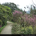 銅鑼燒.錦峰山.臥龍山.七堵臭粿仔.鐵路公園 061.JPG