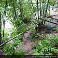 崙子山 092.JPG