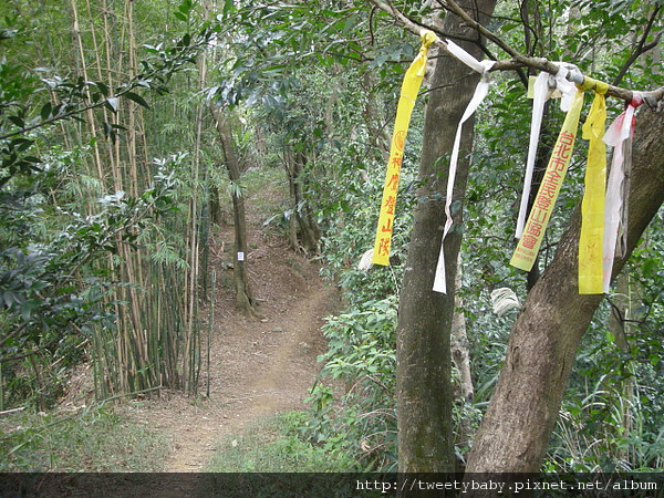 三山國王山.潤濟宮登山步道 072.JPG