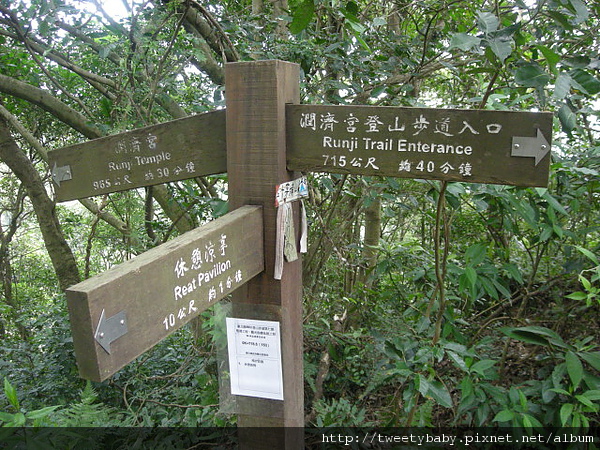 三山國王山.潤濟宮登山步道 094.JPG