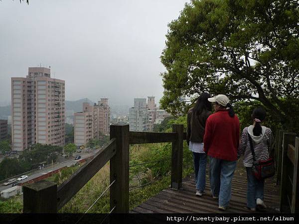 大坑山、倒照湖山失敗行.抱子腳山(140高地公園) 099.JPG