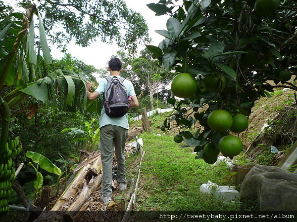 興隆山.興隆山東北峰 031.JPG