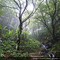 牛埔頭山(五尖山) 020.JPG