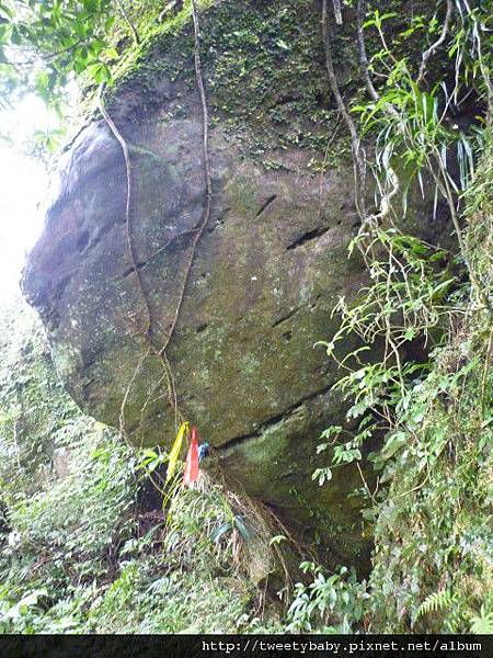 三貂大崙.三貂嶺山.金字碑古道 160.JPG