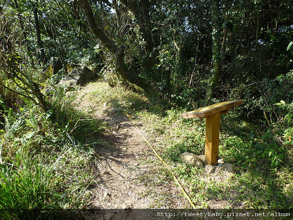 北五指山 056.JPG