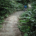 三山國王山.潤濟宮登山步道 100.JPG