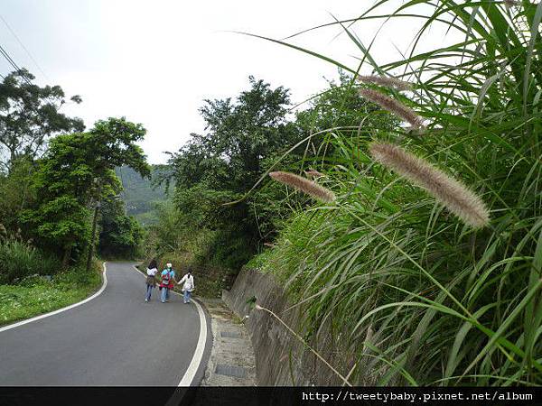 大坑山、倒照湖山失敗行.抱子腳山(140高地公園) 055.JPG