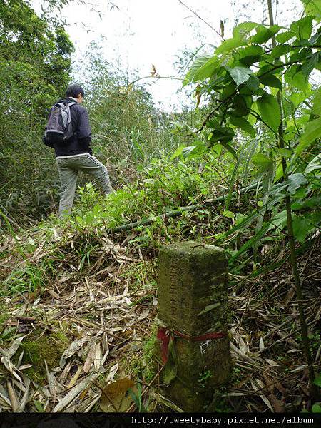 下大坑山.萬順寮山.深坑庄.阿柔洋 069.JPG