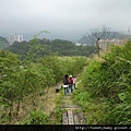 大坑山、倒照湖山失敗行.抱子腳山(140高地公園) 081.JPG