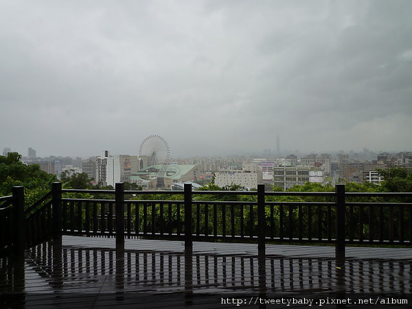 雞南山.文間山.劍南蝶園 160.JPG