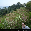 木柵杏花林.待老坑山.救千宮步道 045.JPG