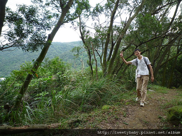 新寮山 048.JPG