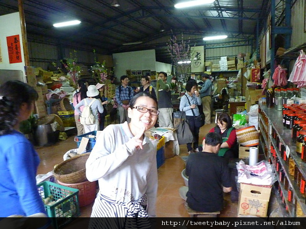 木柵杏花林.待老坑山.救千宮步道 055.JPG