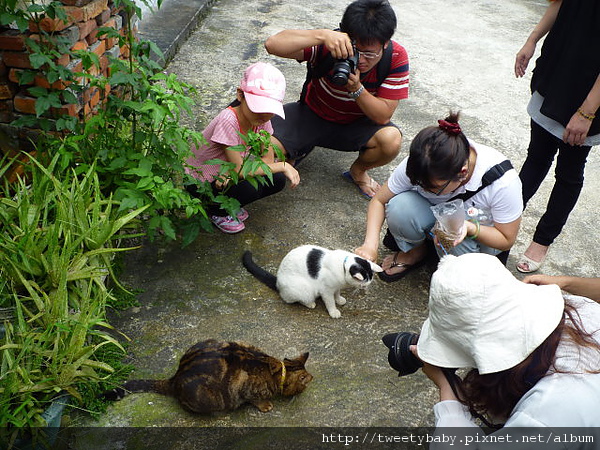 猴硐.劉厝古道.貓村 274.JPG