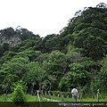 貴子坑親山步道.小坪頂山 022.JPG