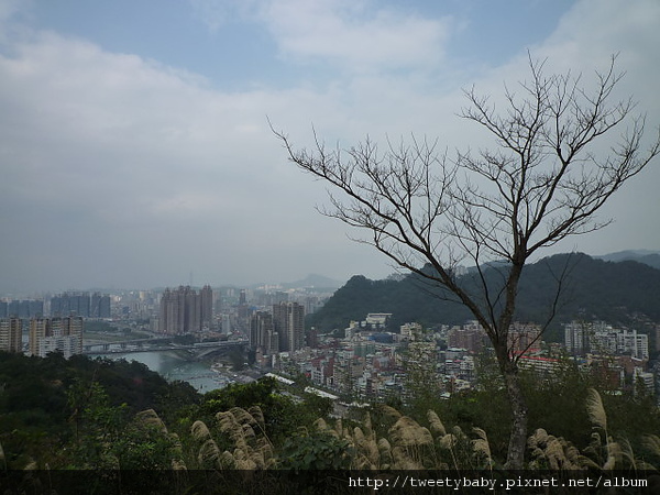 和美山步道.新店渡船頭 070.JPG