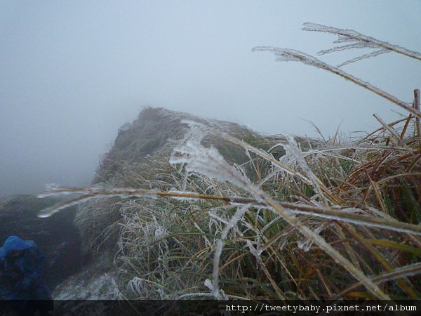 七星山下雪了 142.JPG