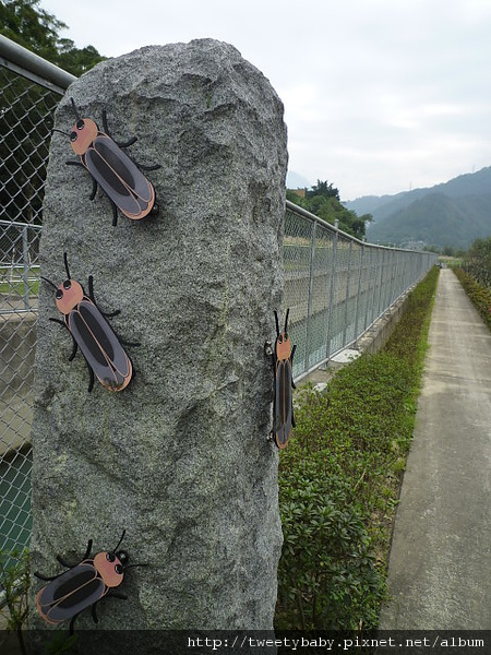 菜刀崙.向天湖山.濛濛湖 105.JPG