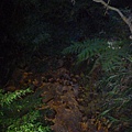 天母古道 029.JPG