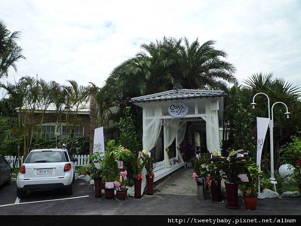 土城打鐵坑山 089.JPG