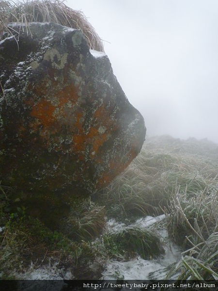 七星山下雪了 101.JPG
