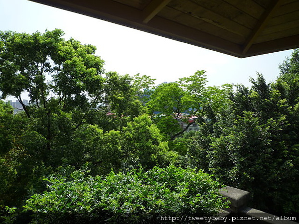 四十張山.員山 068.JPG