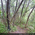大茅埔山 043.JPG