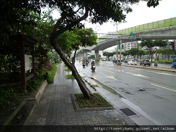 雞南山.文間山.劍南蝶園 187.JPG