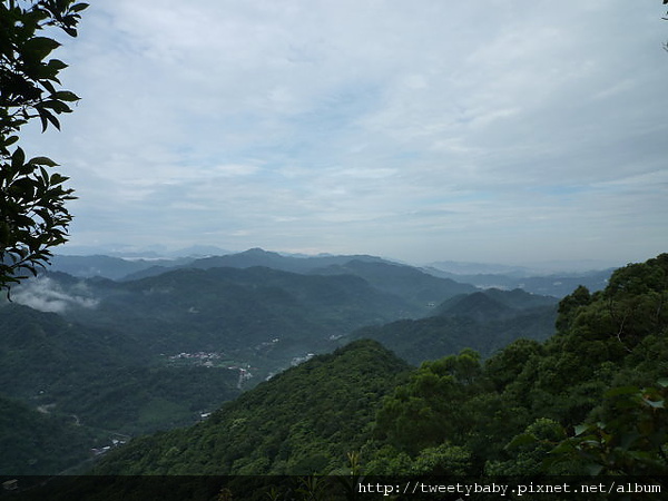 石碇雞冠山 069.JPG