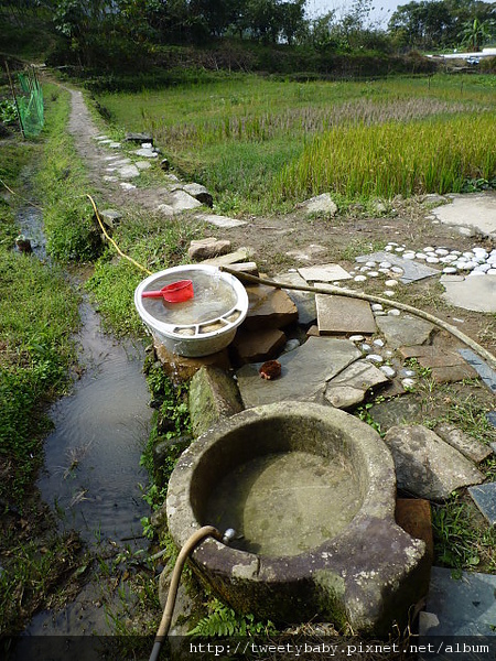 麻竹寮山.向天湖古道 097.JPG