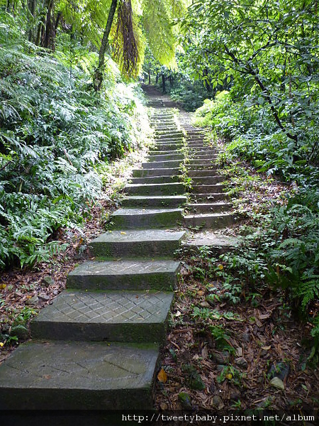 員山基石.太極嶺.五城山 053.JPG