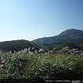 擎天崗山.竹蒿山.大屯山夕陽雲海 051.JPG