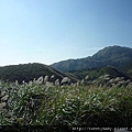 擎天崗山.竹蒿山.大屯山夕陽雲海 051.JPG