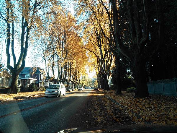 Streets in Vancouver