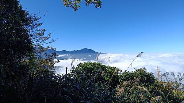 20231123 小百岳 鵝公髻山 置身雲霧森林空靈高山美景