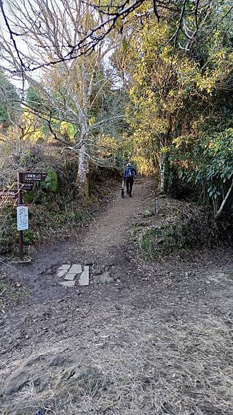 20231210 苗栗泰安 小百岳馬拉邦山賞楓